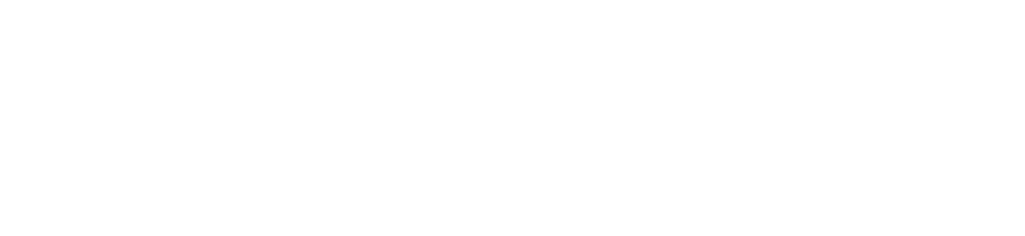HokenFi HokenFi